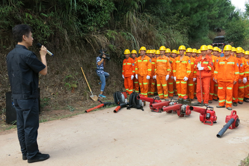 ��ɭ�ַ���ָ�Ӳ�����ָ�ӳ�����������